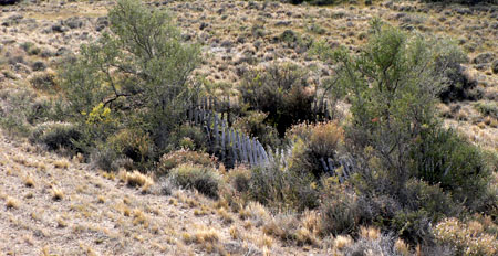 Brazier burial ground