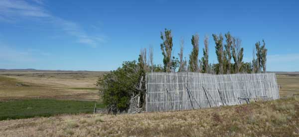 cemetery