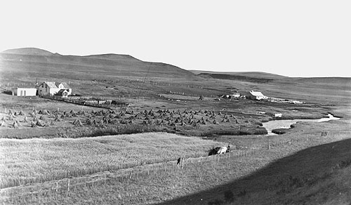 ranch buildings, 1910