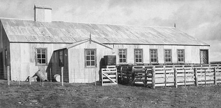 shearing shed