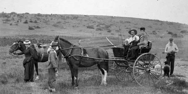 horse transport