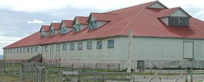 Ea. Josefina, shearing shed